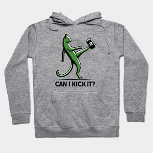 can i kick it - cats Hoodie